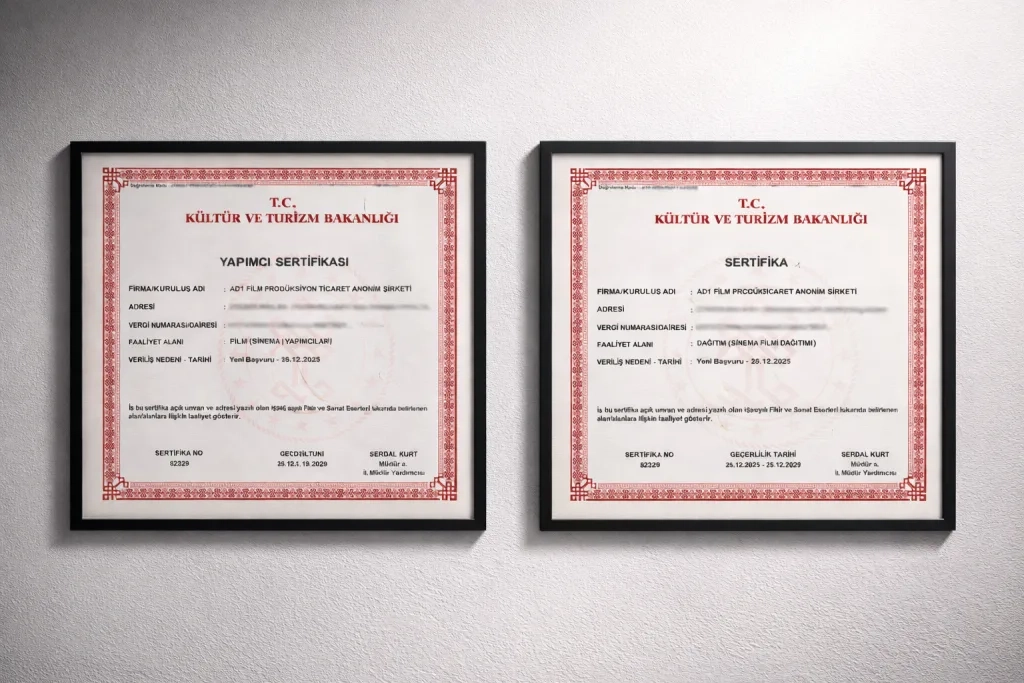 张婉莹影视制作许可证书展示